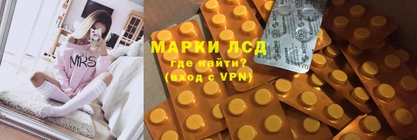гидра Аркадак