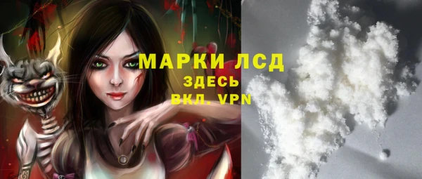 гидра Аркадак